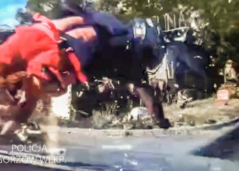 Fot. Lubuska Policja