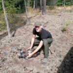 Młody bielik uratowany przez leśników Radio Zachód - Lubuskie