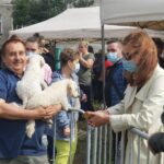 Żywa szopka z alpakami stanęła na Winobraniu Radio Zachód - Lubuskie