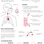 Fakty o grypie, które warto znać [INFOGRAFIKA]