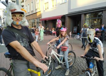 autor: Piotr Wiśniewski