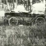 „Cygańskie opowieści...”- reportaż Cezarego Galka 14 „Cygańskie opowieści...”- reportaż Cezarego Galka Radio Zachód - Lubuskie