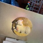 Gorzowska katedra coraz piękniejsza [GALERIA] Radio Zachód - Lubuskie