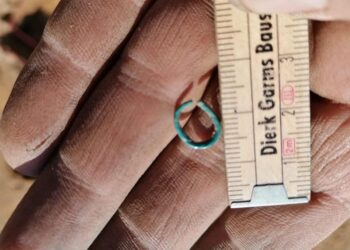 Fot. Krzysztof Dulski/Żagańskie Stowarzyszenie  Ratowania i Ochrony Zabytków