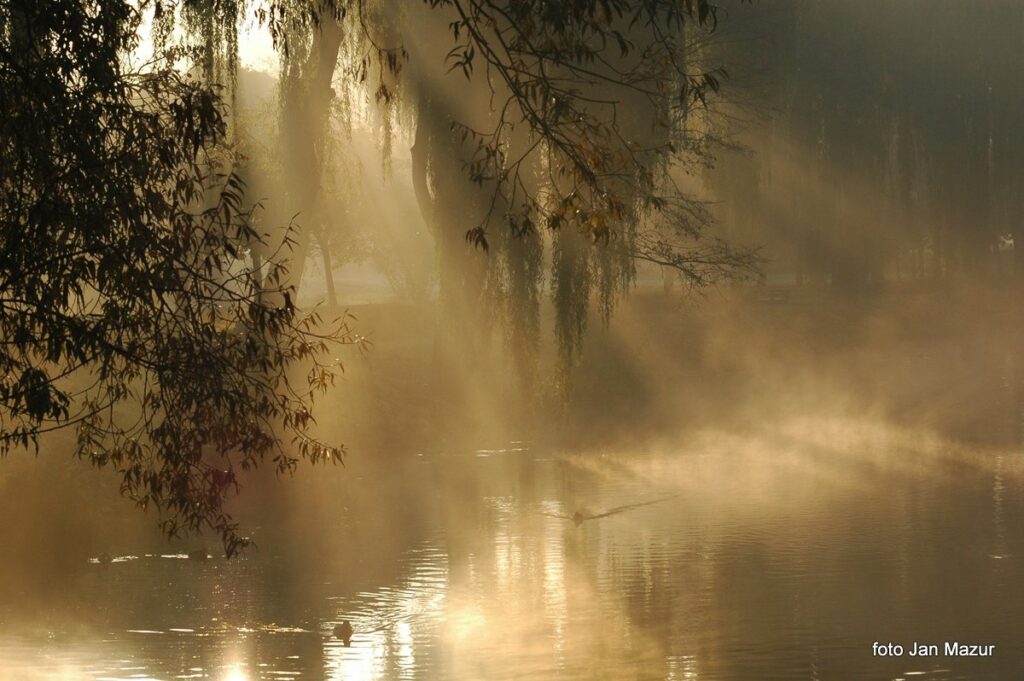 Czekają na zdjęcia do miejskiego kalendarza Radio Zachód - Lubuskie
