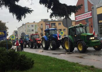 foto: Nikola Dąbkowska