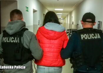 Fot. KMP w Zielonej Górze