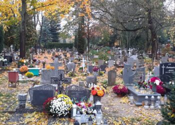 fot. A.Dobosiewicz