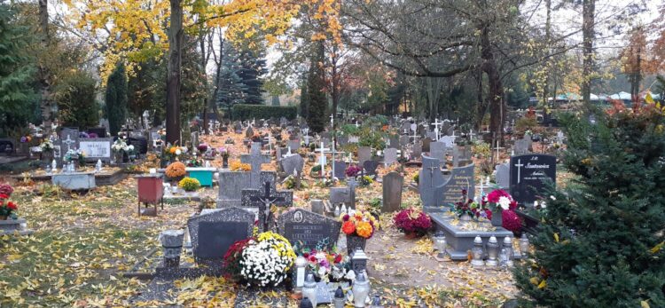 fot. A.Dobosiewicz