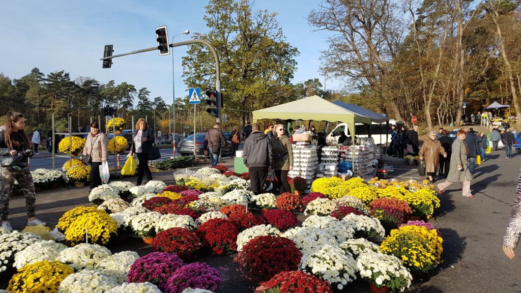 Miasto pomoże osobom handlującym kwiatami Radio Zachód - Lubuskie