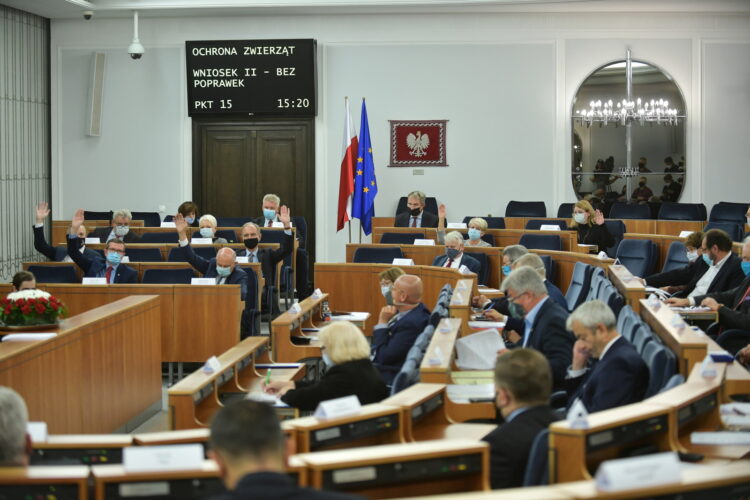 Senat wprowadził poprawki do noweli o ochronie zwierząt