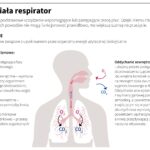 Jak działa respirator