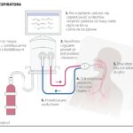 Jak działa respirator