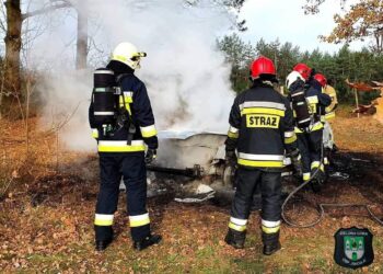 Makabryczne odkrycie we wraku spalonego samochodu