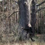 W cyklu Reportaże z lasu: "Leśniczówka z dziecięcych wspomnień" 18 W cyklu Reportaże z lasu: "Leśniczówka z dziecięcych wspomnień" Radio Zachód - Lubuskie