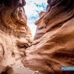 „Podróże za jeden uśmiech”- reportaż Izabeli Patek Radio Zachód - Lubuskie