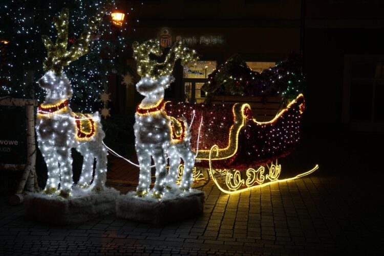 Fot. Marek Poniedziałek