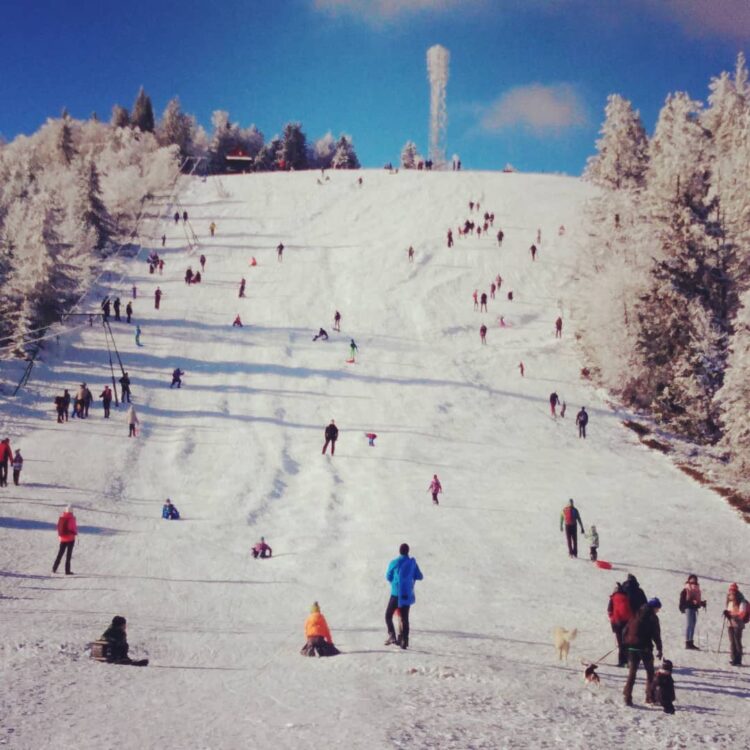 Fot. Rafał Sieradzki