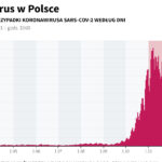 Rzecznik rządu: Sytuacja epidemiczna w Polsce nadal trudna