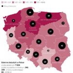Koronawirus w Polsce