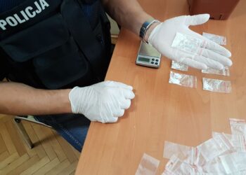 Źródło: KMP Zielona Góra