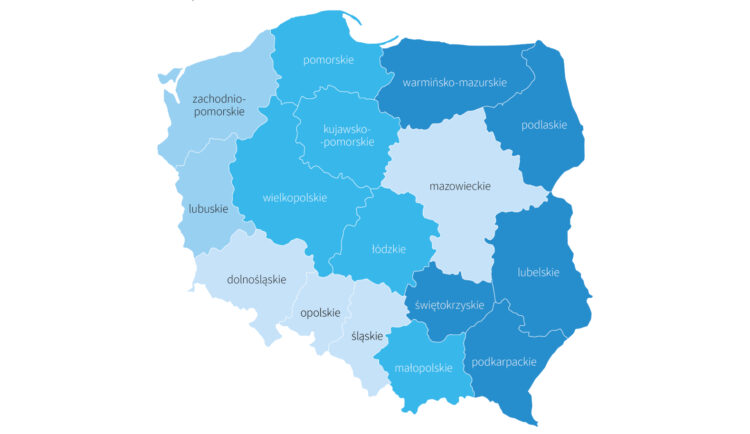 Świadczenia na rzecz rodziny w Polsce [INFOGRAFIKA]