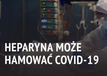 Heparyna może hamować COVID-19