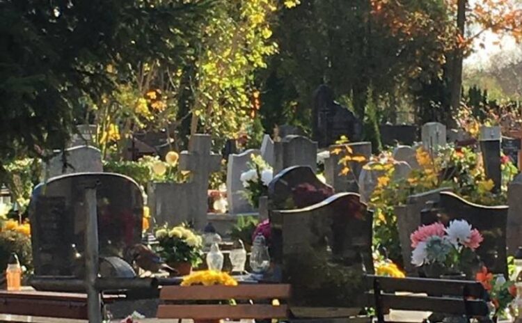 Dewastacja na cmentarzu w Świebodzinie