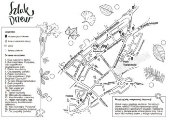 Grafika: naturalnieteatr.pl