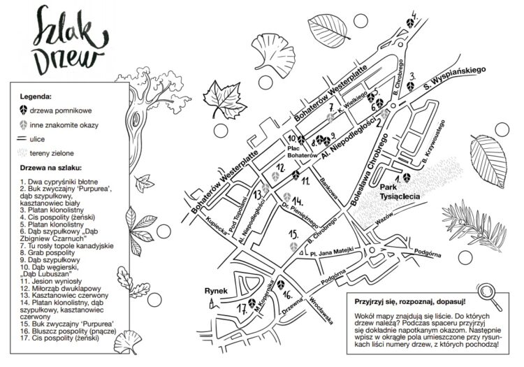 Grafika: naturalnieteatr.pl