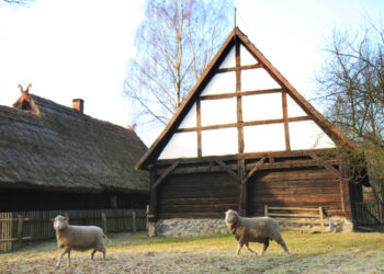 Fot.: muzeumochla.pl