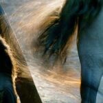 „Piękne życie”- reportaż Renaty Wcisło Radio Zachód - Lubuskie