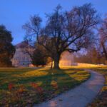 „Sernik dla księżnej Dino”- reportaż Renaty Wcisło Radio Zachód - Lubuskie