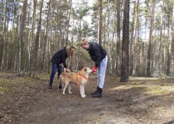 Fot. Zofia Popielecka