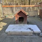 Przytulisko dla bezdomnych zwierząt w Zaborze zostanie zmodernizowane Radio Zachód - Lubuskie