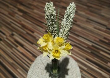 autor: Piotr Wiśniewski