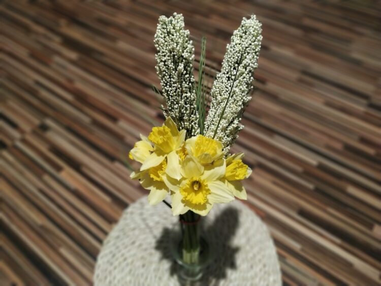 autor: Piotr Wiśniewski