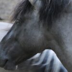 „Piękne życie”- reportaż Renaty Wcisło Radio Zachód - Lubuskie