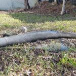 Dzikie wysypisko w centrum Zielonej Góry 12 Dzikie wysypisko w centrum Zielonej Góry Radio Zachód - Lubuskie