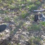 Dzikie wysypisko w centrum Zielonej Góry 11 Dzikie wysypisko w centrum Zielonej Góry Radio Zachód - Lubuskie