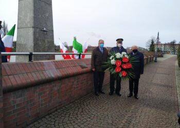 autor: Piotr Wiśniewski