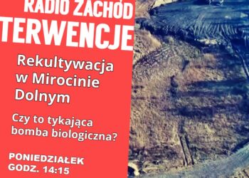 Tykająca bomba biologiczna w Mirocinie Dolnym?