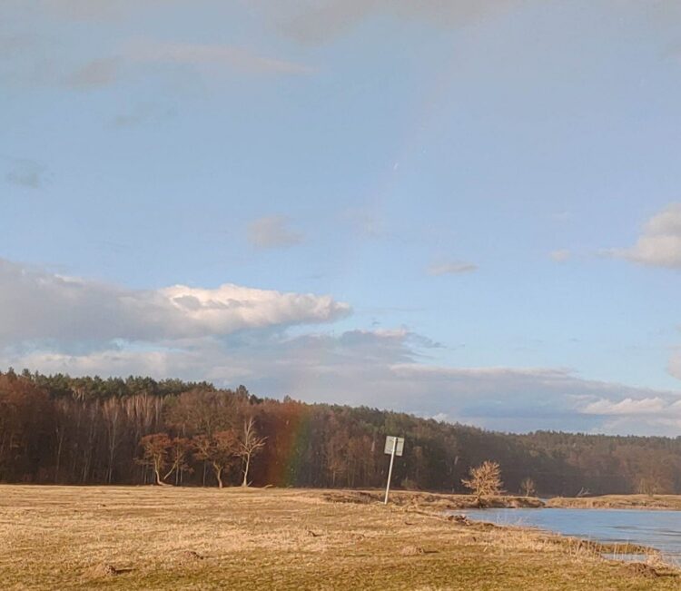 fot. D. Wieczorkiewicz - Nadleśnictwo Karwin