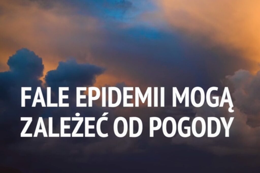 Fale epidemii mogą zależeć od pogody [WIDEO]