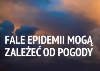 Fale epidemii mogą zależeć od pogody [WIDEO]