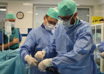 Fot. Monika Owczarek.