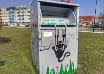 fot. Krzysztof Gonera