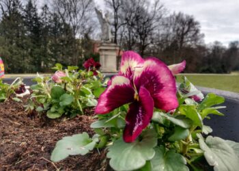 fot.Krzysztof Gonera