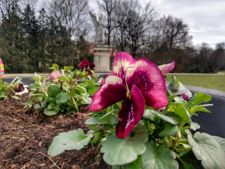 fot.Krzysztof Gonera