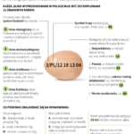 Kody na jajku. Co warto o nich wiedzieć? [INFOGRAFIKA]